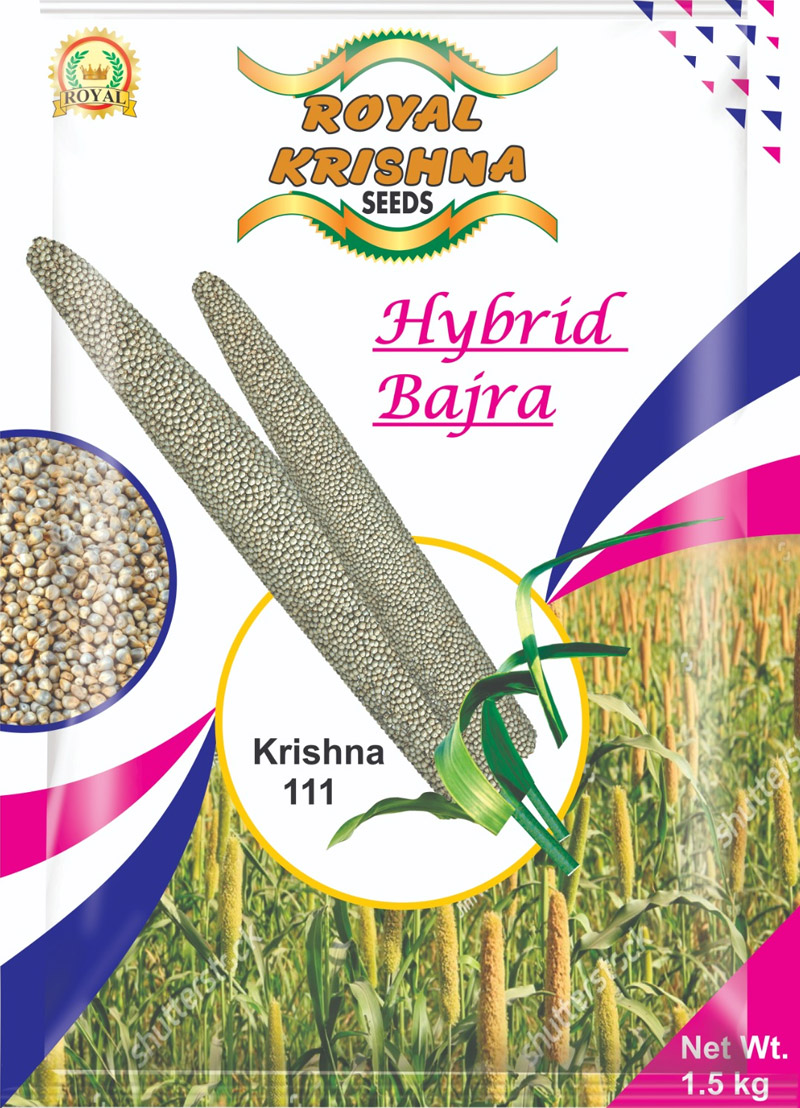 Bajra Seeds