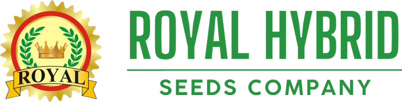 Royal Hybrid Seeds Logo