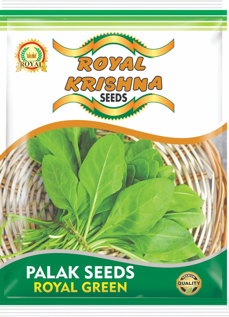 Palak Seeds
