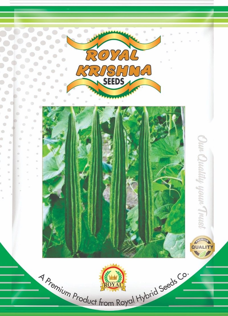 Ridge Gourd Seeds