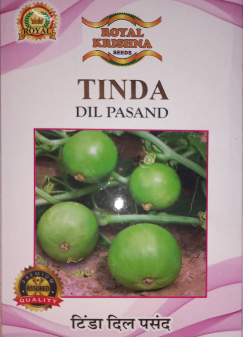 Tinda Seeds